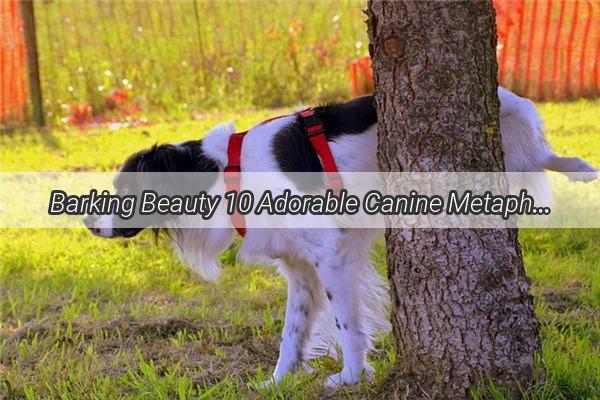 Barking Beauty 10 Adorable Canine Metaphors to Describe a Gorgeous Gal